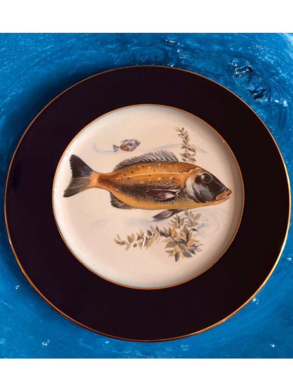 Set x 5 Vintage JWK Bavaria 10” Dinner Plates Fish Cobalt Gold Trim W. Germany